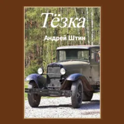 Тёзка - Андрей Штин