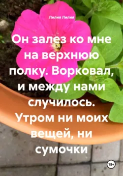 Он залез ко мне на верхнюю полку. Ворковал, и между нами случилось. Утром ни моих вещей, ни сумочки - Лилия Лилия