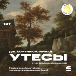 Мессия, аудиокнига . ISDN67948796