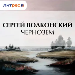 Мои записки, аудиокнига . ISDN70838995