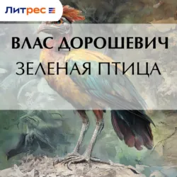 Американские сказки, аудиокнига . ISDN442405