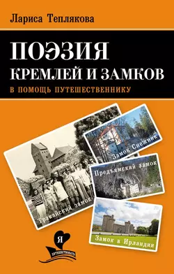 Разведенцы, аудиокнига Ларисы Тепляковой. ISDN10015089
