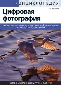 Энциклопедия цифровой фотографии - Тим Грей