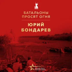 Батальоны просят огня, Юрий Бондарев