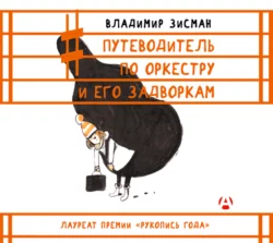 Путеводитель по оркестру и его задворкам, Владимир Зисман