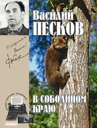 Василий Песков. Полное собрание сочинений. Том 1. В соболином краю