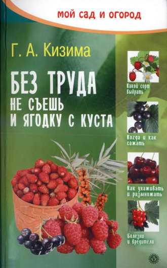 Обложка книги «Без труда не съешь и ягодку с куста»