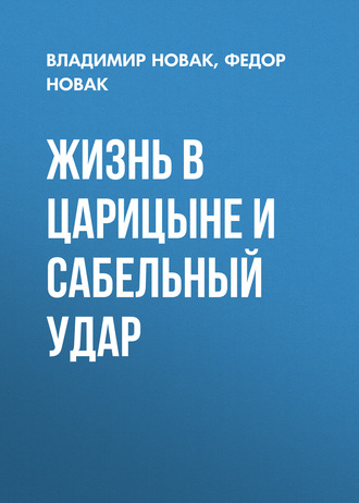 Обложка книги «Жизнь в Царицыне и сабельный удар»