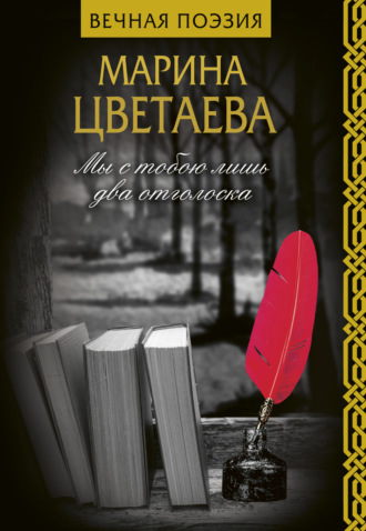 Обложка книги «Мы с тобою лишь два отголоска»