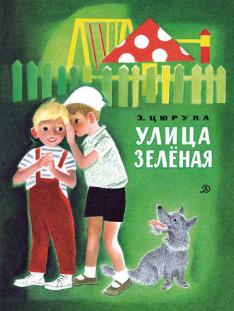 Обложка книги «Улица Зелёная»