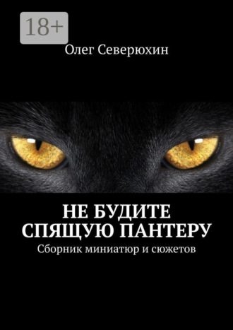 Обложка книги «Не будите спящую пантеру. Сборник миниатюр и сюжетов»