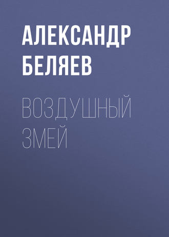 Обложка книги «Воздушный змей»