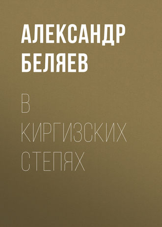 Обложка книги «В киргизских степях»
