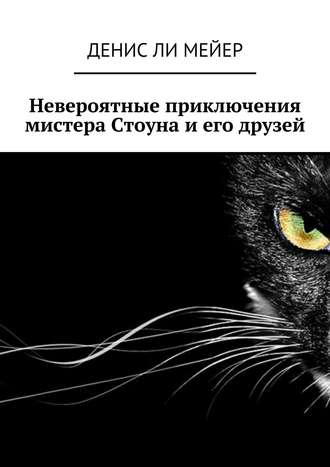 Обложка книги «Невероятные приключения мистера Стоуна и его друзей»