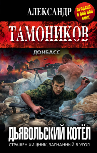 Обложка книги «Дьявольский котёл»