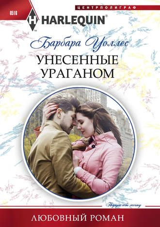 Обложка книги «Унесенные ураганом»