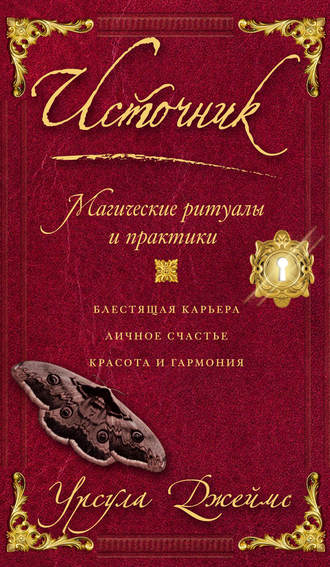 Обложка книги «Источник. Магические ритуалы и практики»