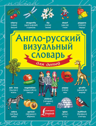 Обложка книги «Англо-русский визуальный словарь для детей»