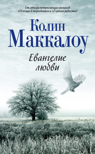 Обложка книги «Евангелие любви»