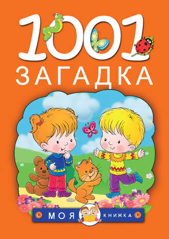 Обложка книги «1001 загадка»