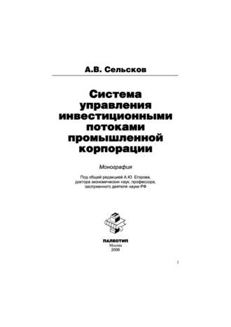 Анатолий Сельсков. Система управления инвестиционными потоками промышленной корпорации