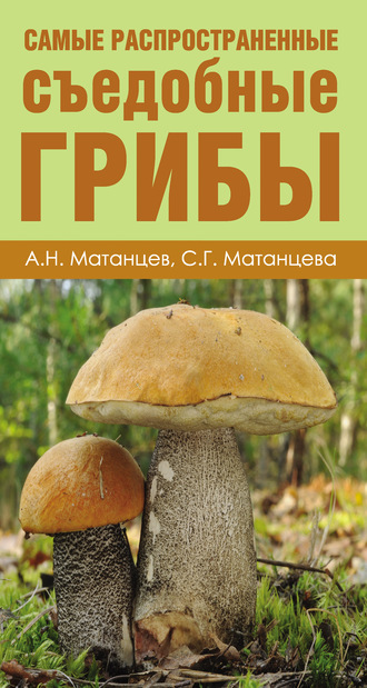 Обложка книги «Самые распространенные съедобные грибы»
