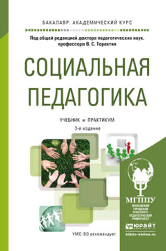 Елена Ивановна Сухова. Социальная педагогика. Учебник и практикум для академического бакалавриата