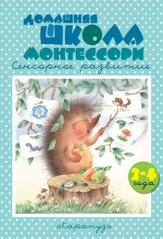 Обложка книги «Домашняя школа Монтессори. Сенсорное развитие. 2–4 года»