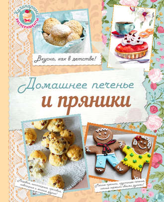 Обложка книги «Домашнее печенье и пряники»