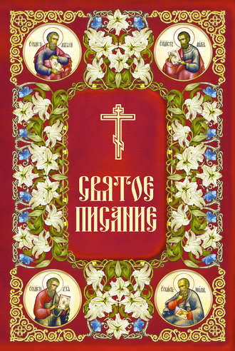 Обложка книги «Святое Писание. Новый Завет Господа нашего Иисуса Христа»