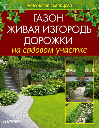 Анастасия Скворцова. Газон, живая изгородь, дорожки на садовом участке