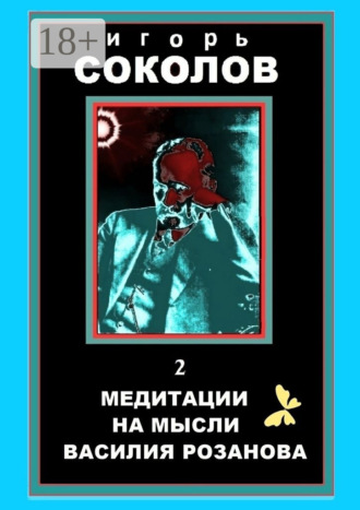 Обложка книги «Медитации на мысли Василия Розанова. том 2»