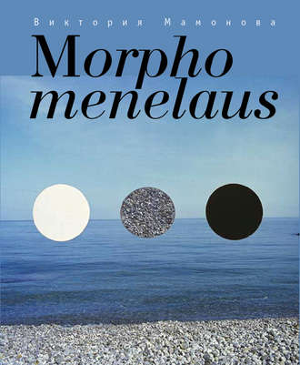 Виктория Мамонова. Morpho menelaus