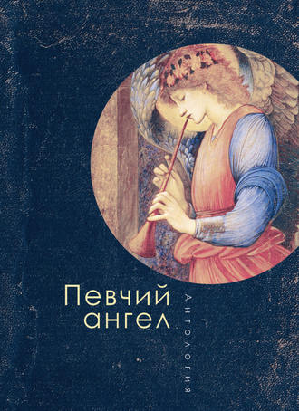 Обложка книги «Певчий ангел»