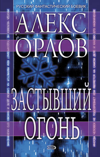 Обложка книги «Застывший огонь»