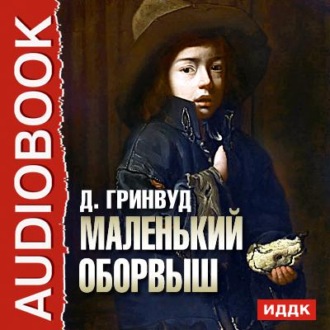 Обложка книги «Маленький оборвыш»