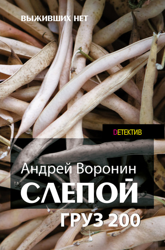 Обложка книги «Слепой. Груз 200»