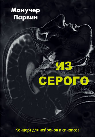 Обложка книги «Из серого. Концерт для нейронов и синапсов»
