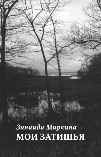 Обложка книги «Мои затишья»