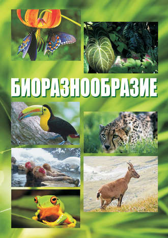Обложка книги «Биоразнообразие. Курс лекций»