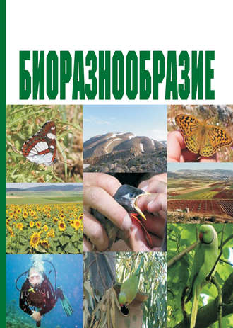 Обложка книги «Биоразнообразие. Учебное пособие»