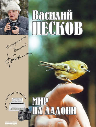 Василий Песков. Полное собрание сочинений. Том 21. Мир на ладони