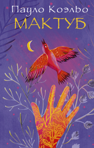 Обложка книги «Мактуб»
