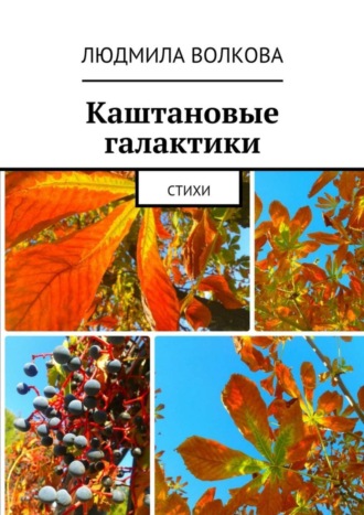 Обложка книги «Каштановые галактики. стихи»
