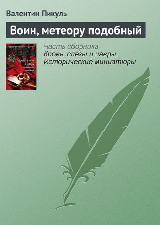 Обложка книги «Воин, метеору подобный»