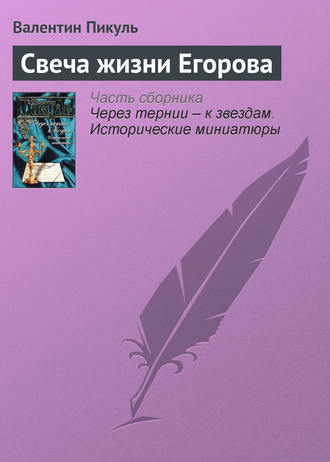 Обложка книги «Свеча жизни Егорова»