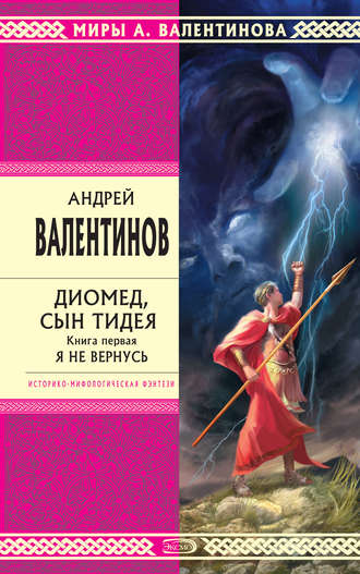 Обложка книги «Диомед, сын Тидея. Книга 1. Я не вернусь»