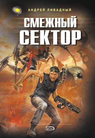 Обложка книги «Смежный сектор»