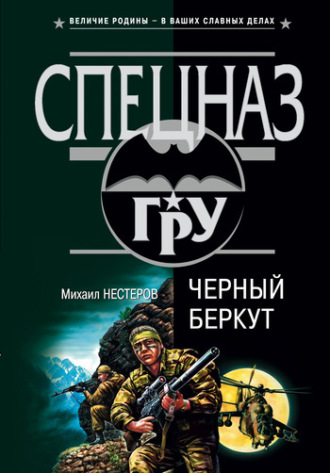 Обложка книги «Черный беркут»