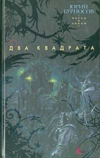 Обложка книги «Два квадрата»